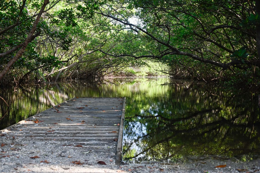 emerson point preserve