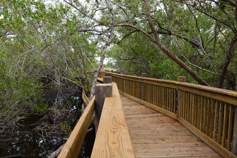 Neal Preserve