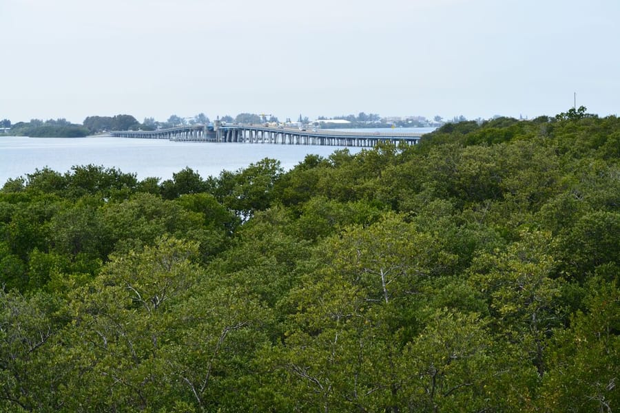 Neal Preserve
