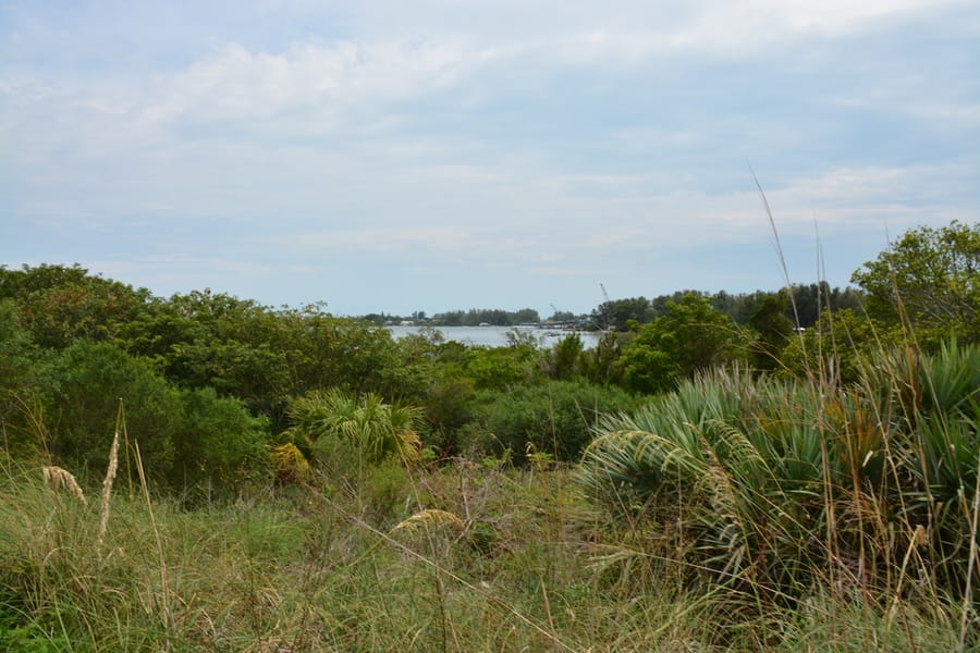 Leffis Key