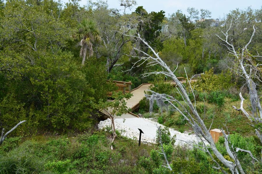 Neal Preserve