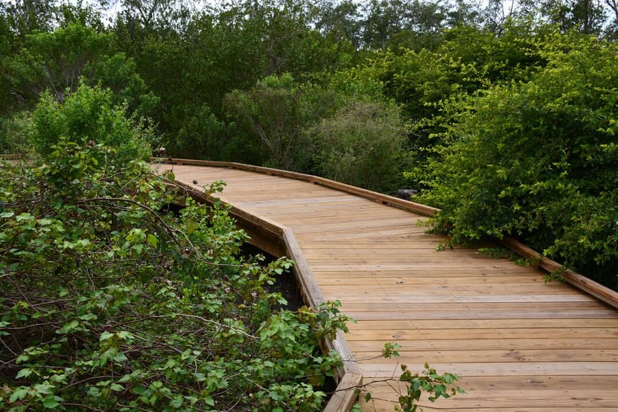 Neal Preserve