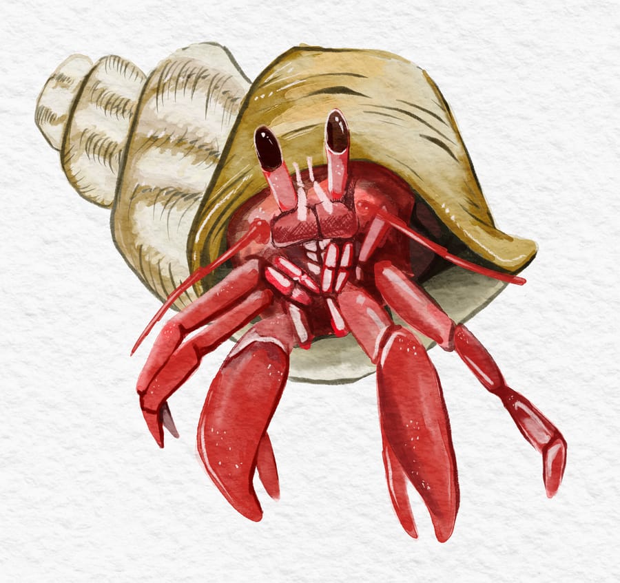 YD Watercolor Grain Fin Paper