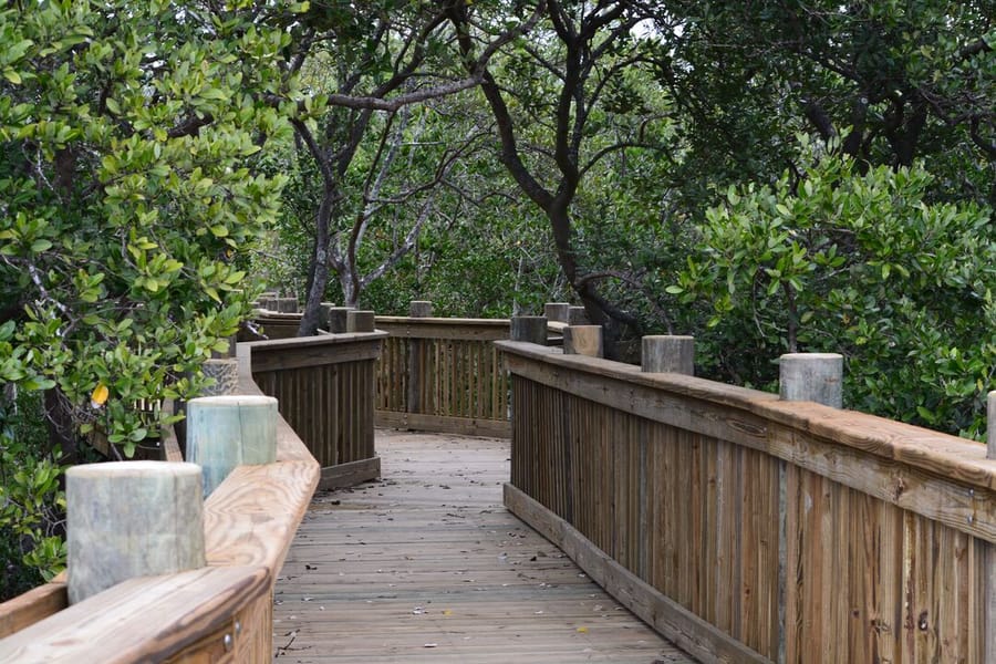 Neal Preserve