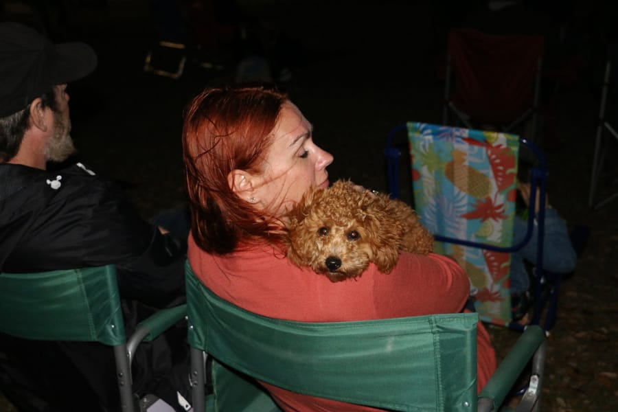 MovieOnTheGreen_20240223 (37)