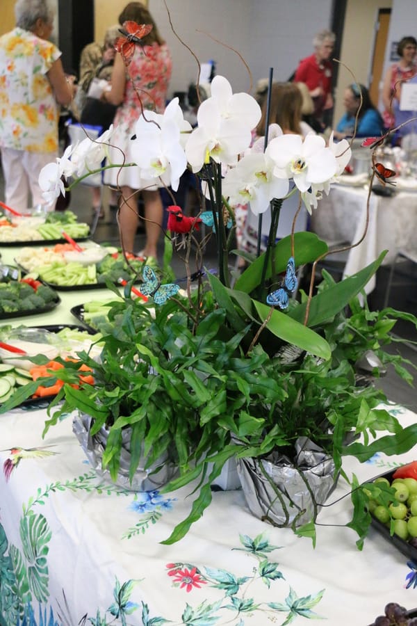 Allamanda Garden Club of North Port_20240223 (12)