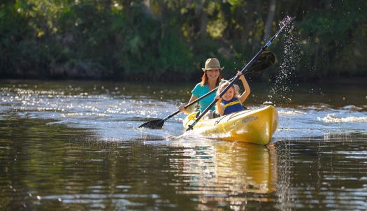 Kayak