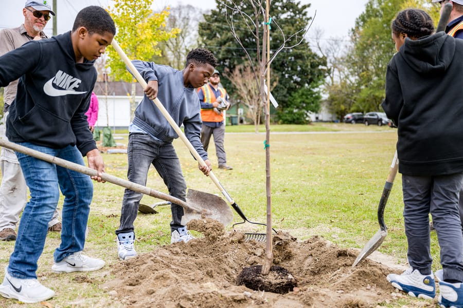 Students planting trees in West Greenville for Community Tree Day on Thursday, November 10. Original public domain image from Flickr