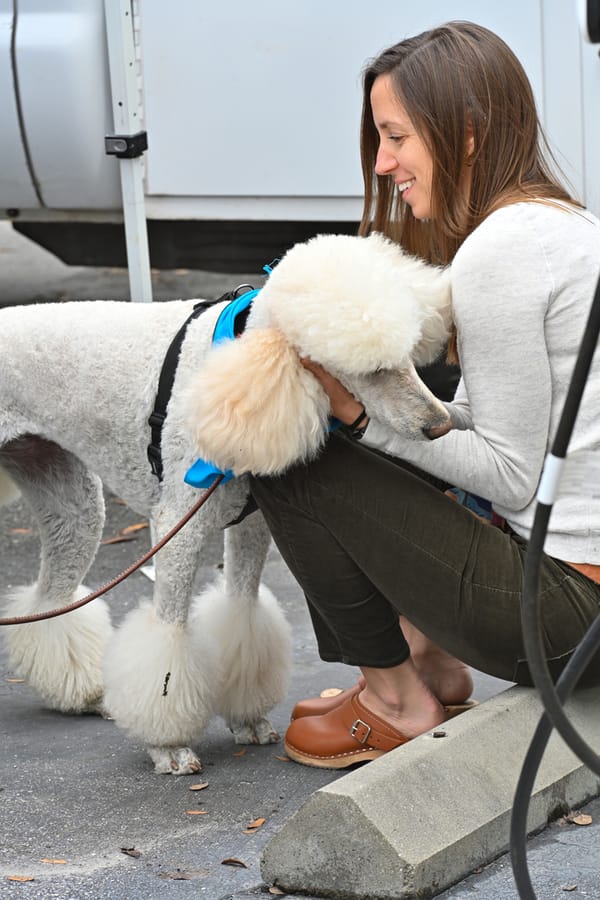 20240306_EmployeeAppreciationDogTherapy_016_SD