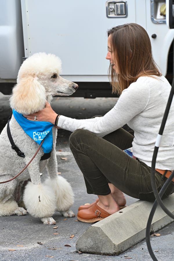 20240306_EmployeeAppreciationDogTherapy_017_SD