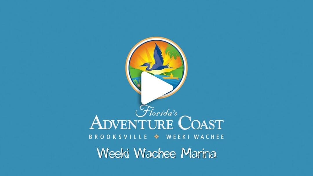 Weeki Wachee Marina 2024