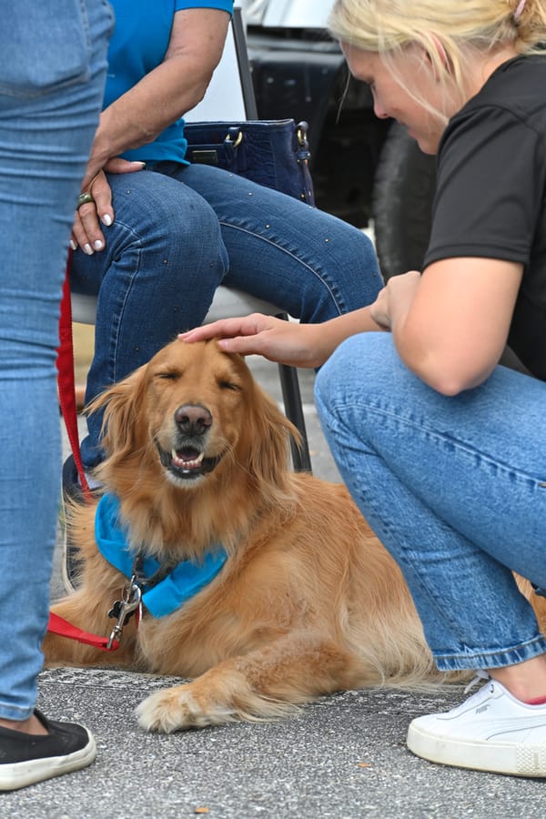 20240306_EmployeeAppreciationDogTherapy_013_SD