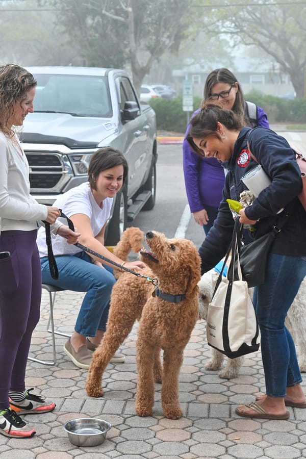 20240308_EmployeeAppreciationDogTherapy_011_SD