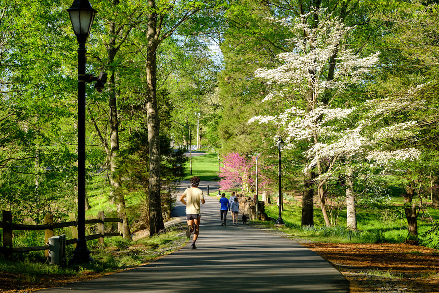 Reynolda trail to Wake Forest campus