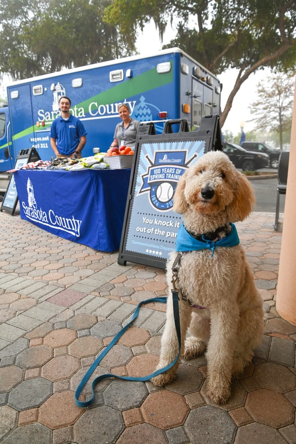20240307_EmployeeAppreciationDogTherapy_002_SD