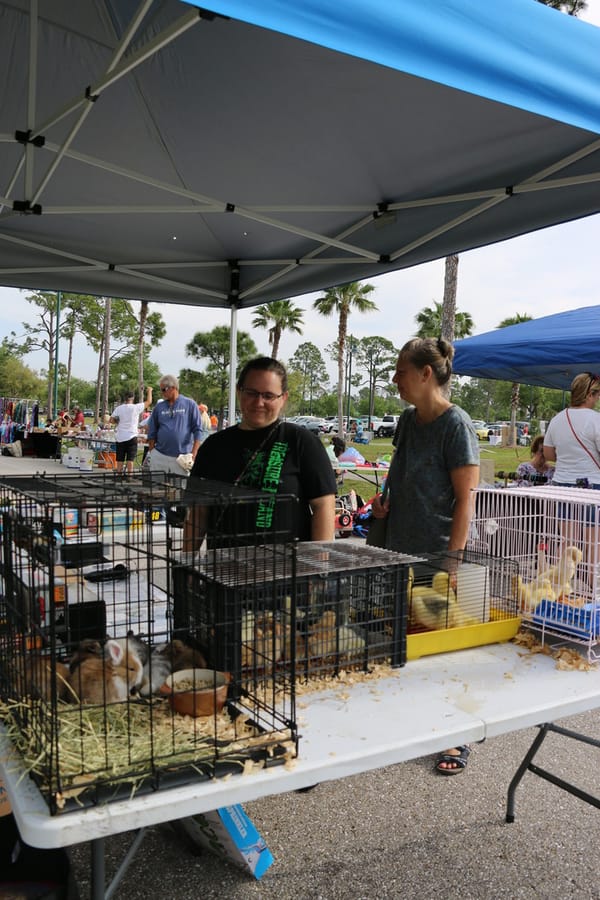 CommunityYardSale_20240316 (148)