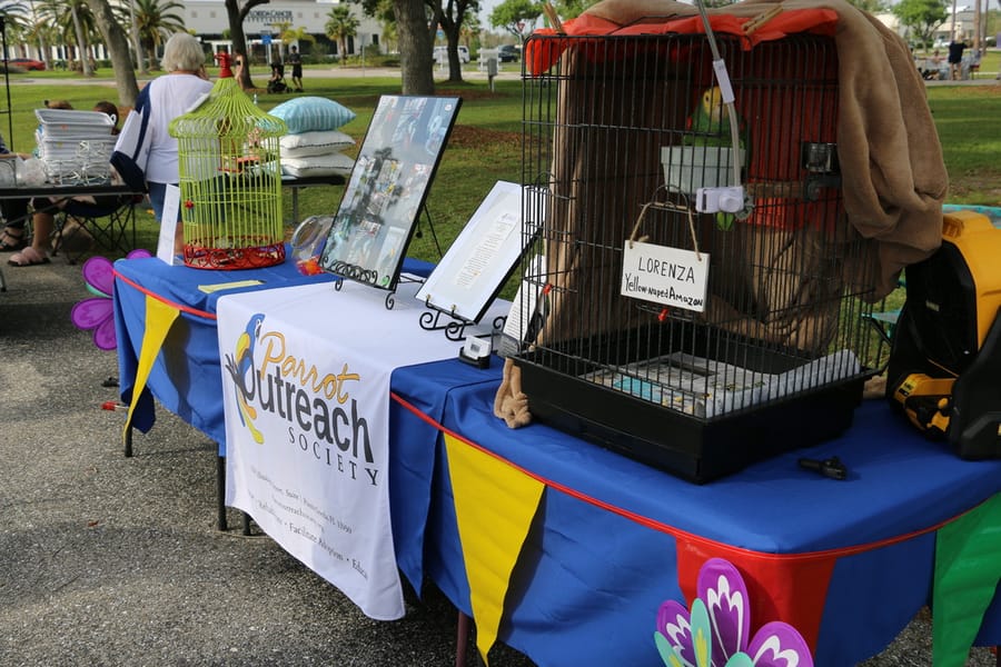 CommunityYardSale_20240316 (115)