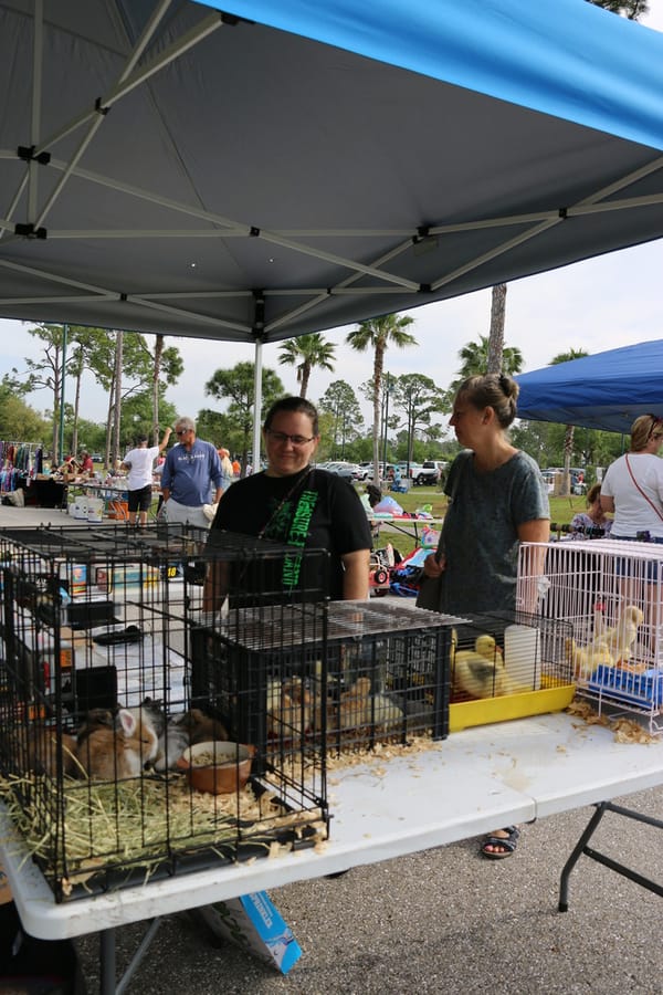 CommunityYardSale_20240316 (147)