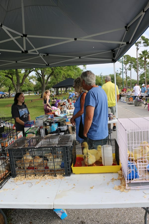 CommunityYardSale_20240316 (138)