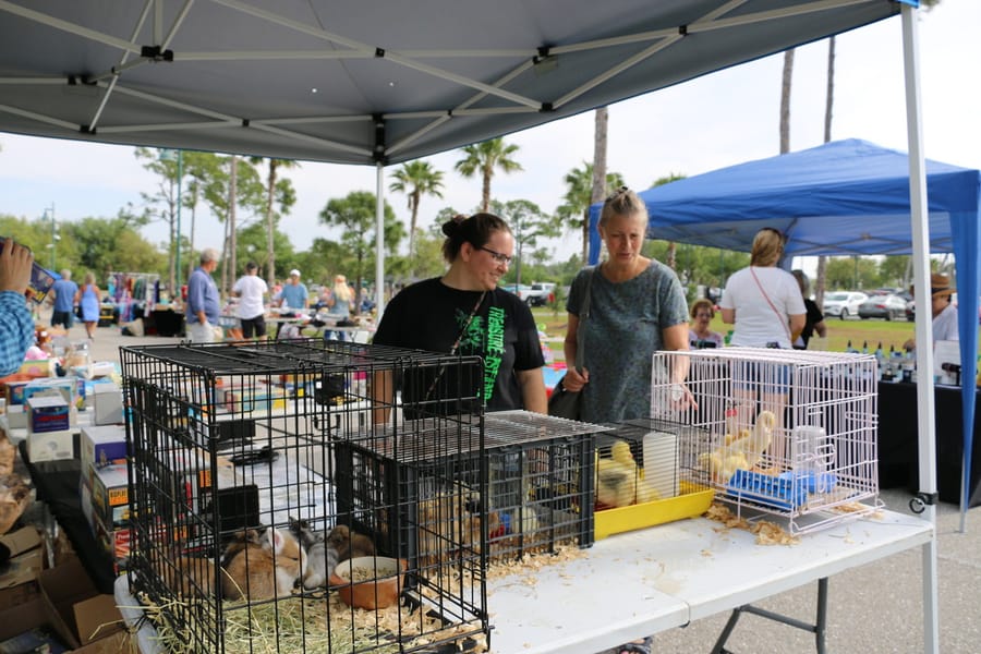 CommunityYardSale_20240316 (146)