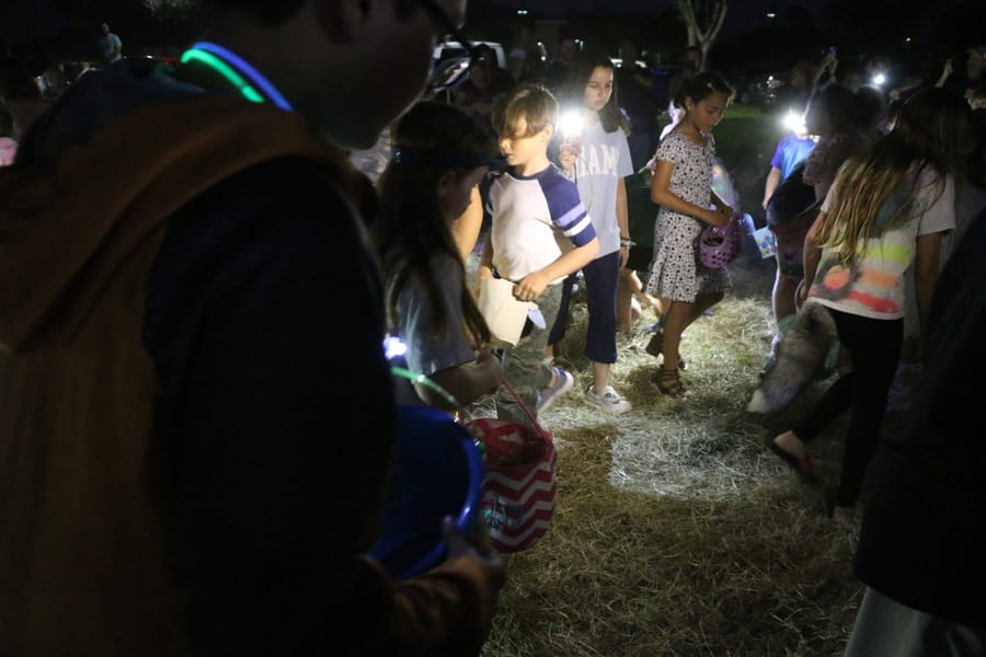 Flashlight_Egg_Hunt_20240329 (210)