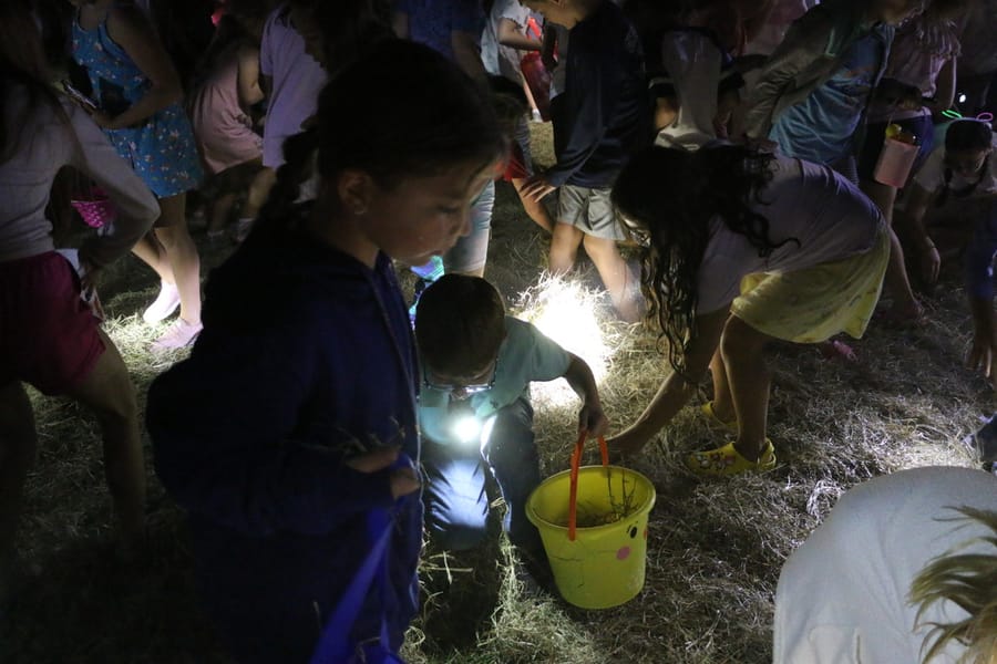 Flashlight_Egg_Hunt_20240329 (212)