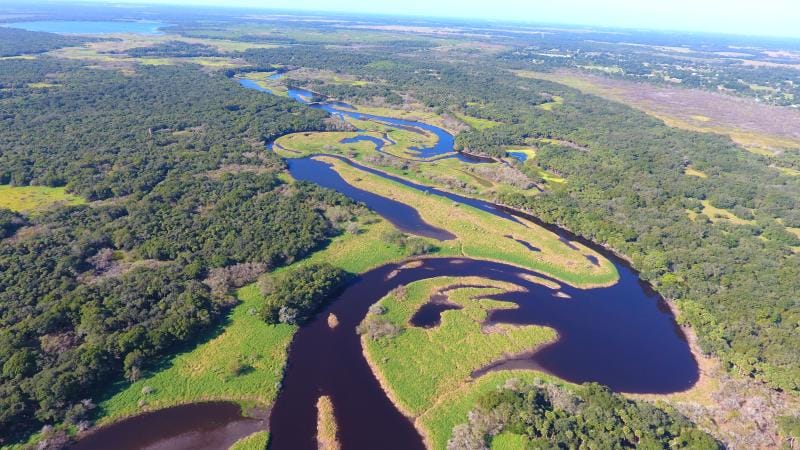 Myakka River