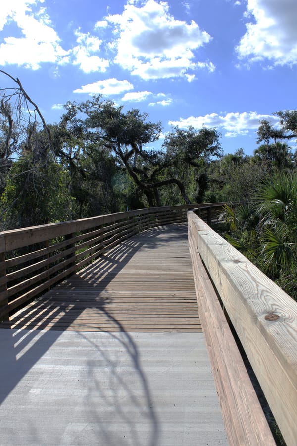 Myakkahatchee_Creek_Greenway_Nature Trail_101823 (2)