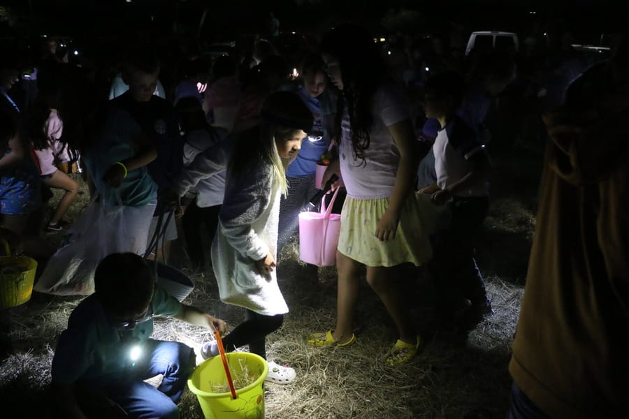 Flashlight_Egg_Hunt_20240329 (211)