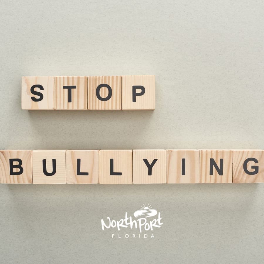 Stand-up-to-bullying-post