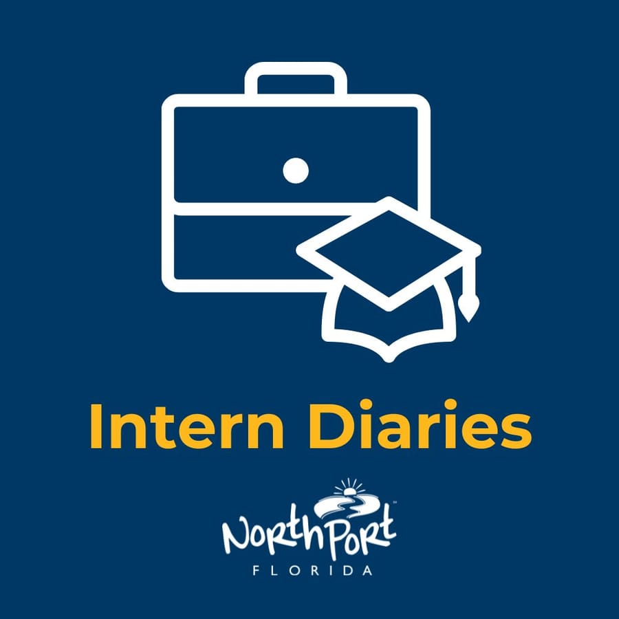 Intern-diaries