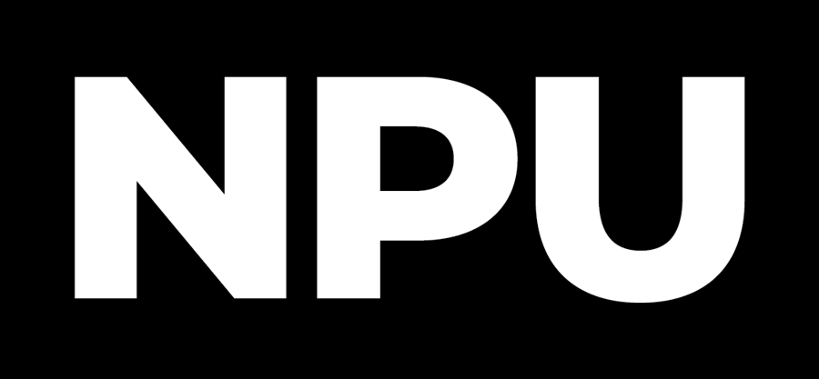 NPU-blk